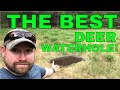 The BEST Waterhole for Deer! Earth Ponds