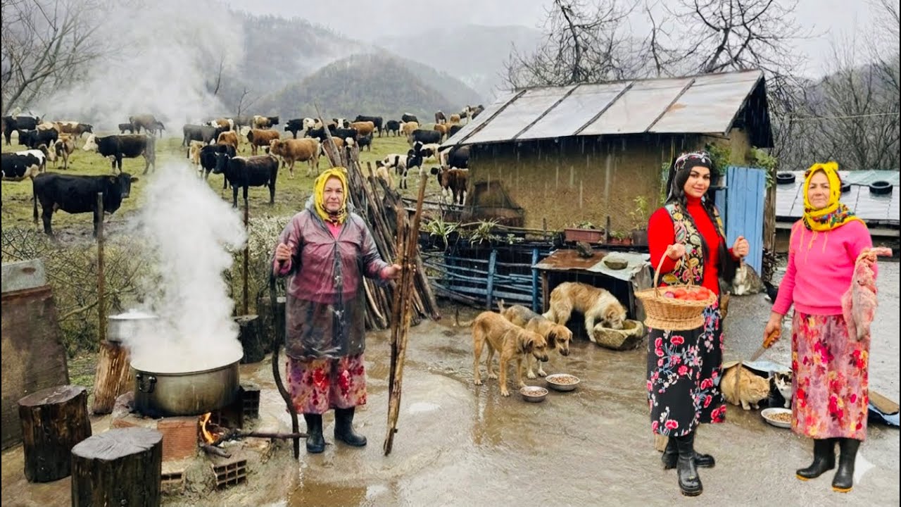 Cooking Joghurtma in the Rain | Caring for Animals with Love on a Rainy Day