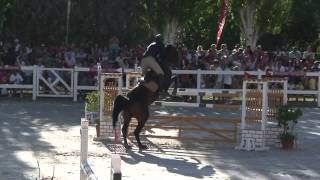 TOBIAS Y CAREY 1.45 GP