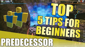 TOP 5 TIPS FOR BEGINNERS | Predecessor | No Bull**** Tips