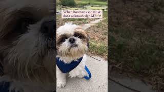 I am perplexed #shots #shortsvideo #shorts #youtubeshorts