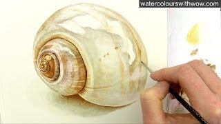 How to paint a realistic shell in watercolor by Anna Mason