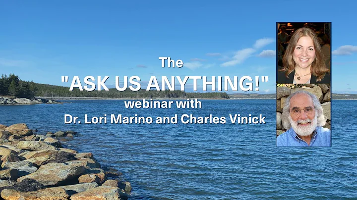Ask us Anything Webinar 2022