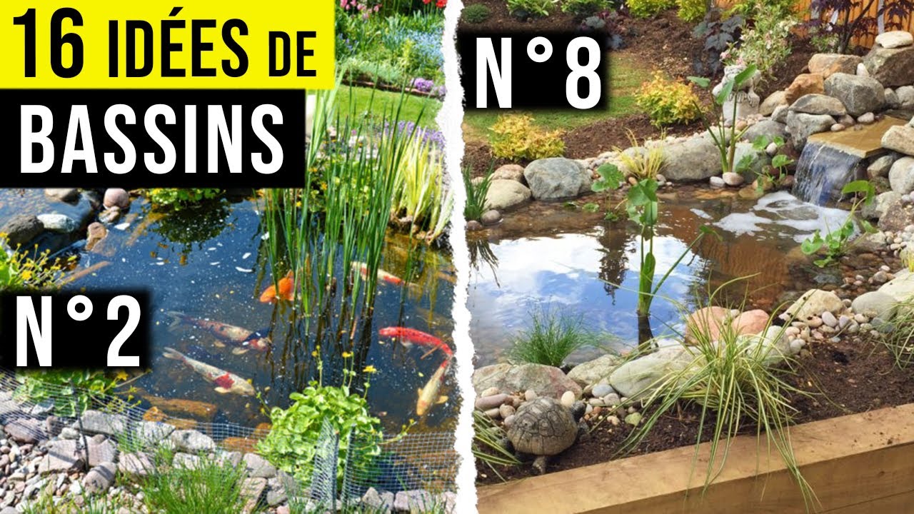 Aménager Bassin de Jardin (16 Idées Inspirantes)