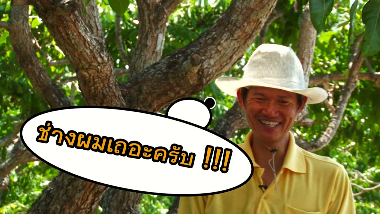 เกษตรไทยไอดอล | EP.34 เกษตรหน้าใหม่หัวใจอินทรีย์