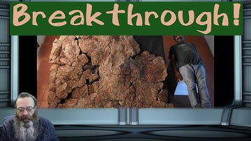 Extinct Giant Turtle Had Horned Shell of up to Three Meters