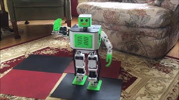 17DOF Biped Robot dancing "La Macarena"