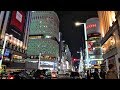 Christmas colored Tokyo Ginza - 4K UHD