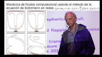 Mecánica de fluidos computacional con el método de la ecuación de Boltzmann en redes( Raúl Rechtman)