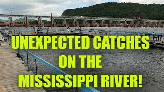 Download lagu Unexpected Catches on the Mississippi River! 🐟🎣 | Great Alma Fishing Float Adventure