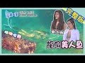 [ENG SUB] 東北角 Longdong【揭開龍洞神秘面紗/ 立槳攀岩跳水挑戰 / 珊瑚復育媽媽】│2020.09.13│《台灣第一等》完整版