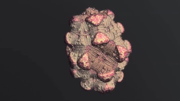 3D Fractal Animated - Boxodron