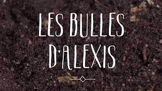 Les bulles d’Alexis