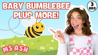 🐝Baby Bumblebee + More | Ms Ash Toddler Learning Compilation | ABC, Counting, Animals, Shapes & More