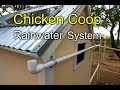 Chicken coop rainwater harvesting system  how to
