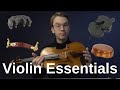 Must have violin accessories for every violinist a simple guide