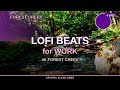 Lofi Chill Beats - Forest Creek | Work Music 4 min