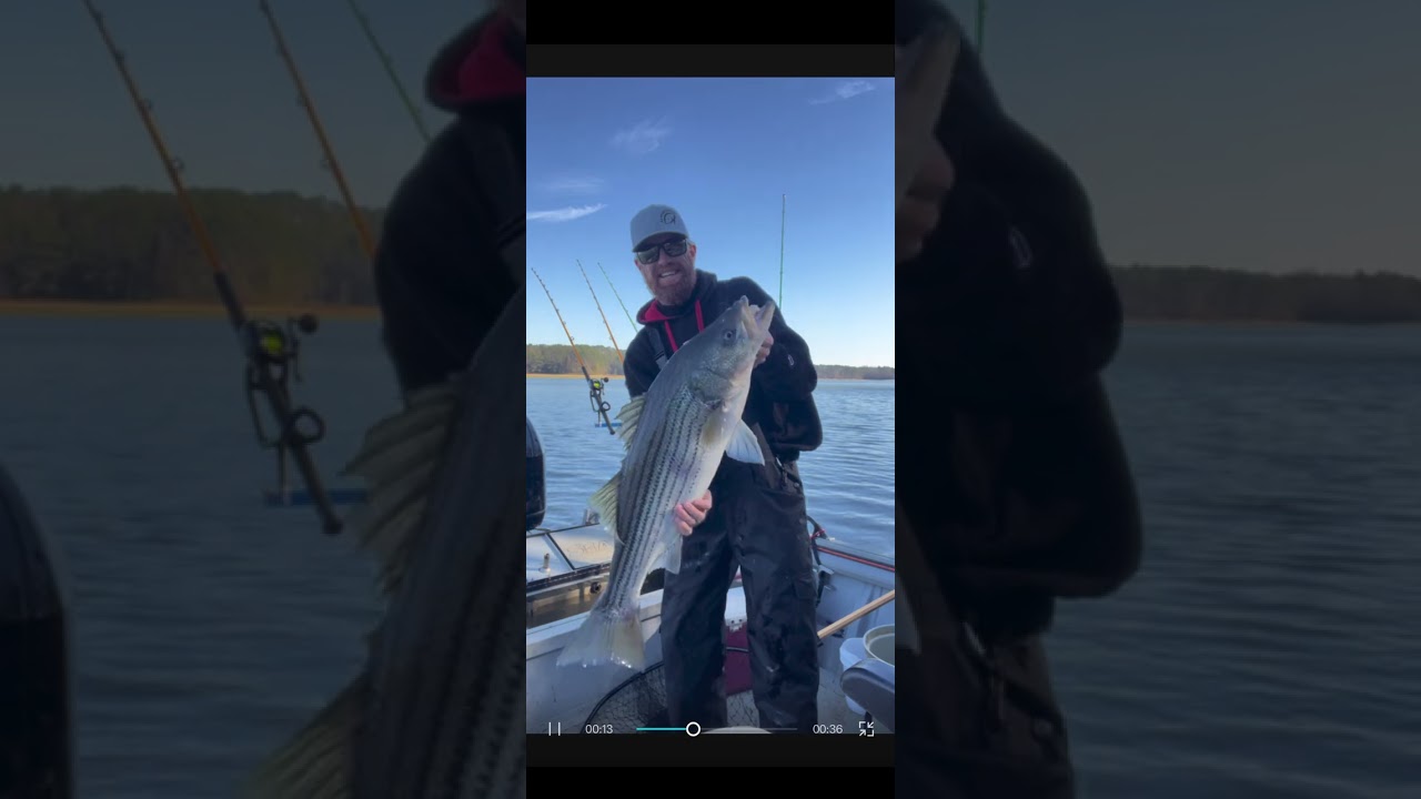 Searching for whiskers! #striped bass keep stealing my bait! #captainkenfishing #catfishing