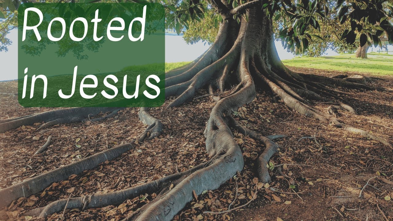 Righteous Roots | Christianity & Gardening Series - YouTube