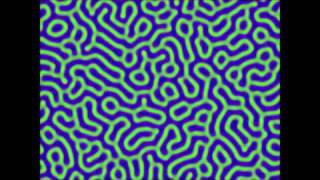 Gray Scott Model Simulation Pattern Theta  Complex Patterns in Simple Reaction Diffusion System