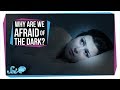 Understanding Fear and Phobias