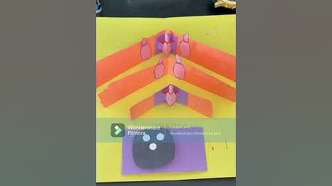 Bowling Alley themed Pop up Card- Foldable Robotics Assignment-1