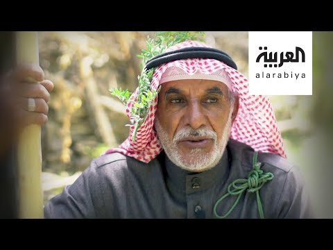 نشرة الرابعة سالم الزهراني سبعيني مهتم بالتاريخ وينقل تراث الباحة من خلال متحف حجري