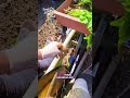 Tanam + siram sekali jalan, efisien maksimal 🌱💧 #smartfarming #pertanianmodern #alatpertanian