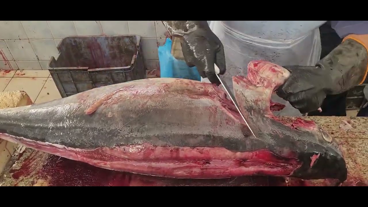 Biggest Fish Cutting Must Watch Skills Must Watch Fish Cutting Skills  $150 Fish Cutting Skills
