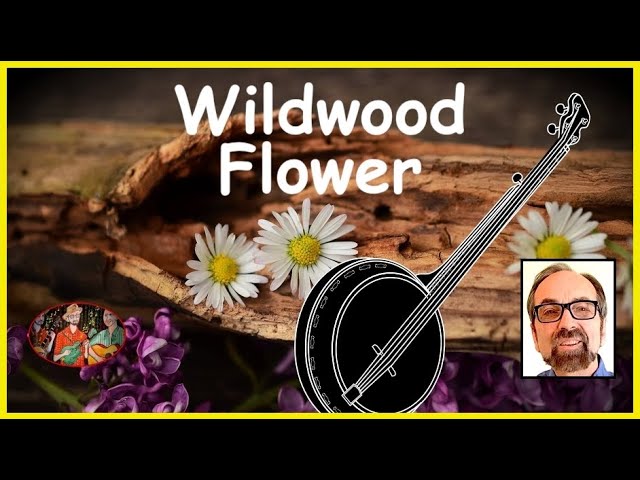 Wildwood Flower Key Of C For Banjo