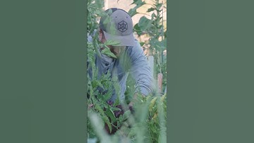 This Is the Folding Field Sharpener