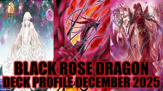 yugioh legacy of the duelist black rose dragon deck Amazon.com: Complete Custom Deck for Yu-Gi-Oh! 5D's