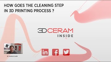 3DCeram Inside : The cleaning step by Charlie Clark