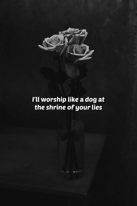 STORY LYRICS - Take me to Church | #shorts #storywa #sad