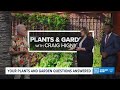 Caring for plants in the heat: Plants and Gardens with Craig Hignight