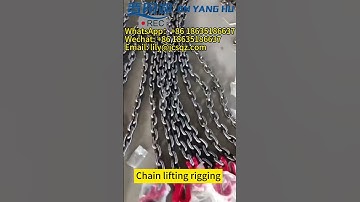 JIN YANG HU Chain Lifting Rigging Chain Sling with Durable Hooks #rigging