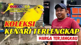Download Lagu KOLEKSI TERBARU  KENARI KENARI MAGELANG  MP3 Download Lagu KOLEKSI TERBARU  KENARI KENARI MAGELANG  MP3