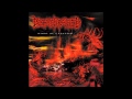 Decapitated - Winds Of Creation