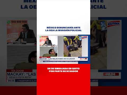 🔴🔵México denunciaría ante la OEA la invasión policial de su embajada en Quito por parte de Ecuador