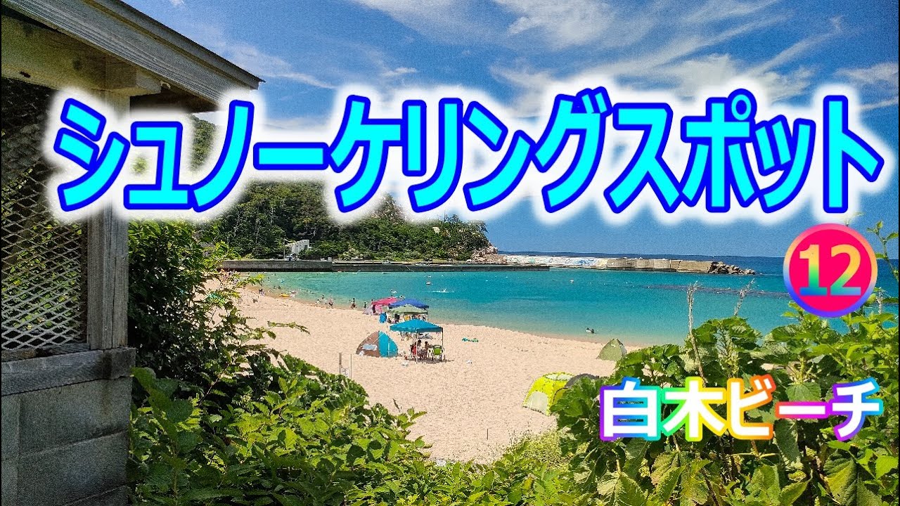 福井県若狭湾【白木ビーチ】海沿いの道、水中動画、夏BGMと魚。Wakasa-bay