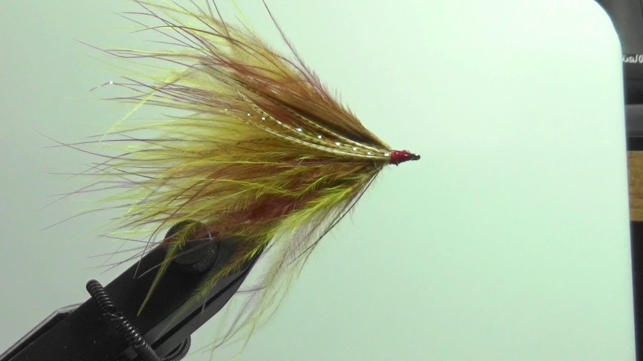 Lower Provo River Fall Streamer Fishing, Tips from Rich at Fish West