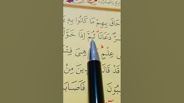 سورة الزمر الأية 48 إلى 50 بصوت سعد الغامدي