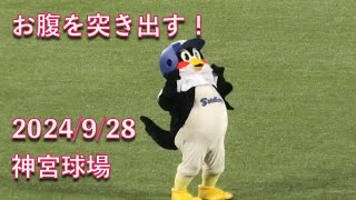 つば九郎のおなか m66866416634_1.jpg?1682921536