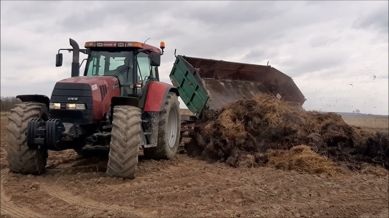Wywóz obornika na pryzme nowym nabytkiem czyli case cvx 1190. 2021 !!! Zetor i Case w akcji !!