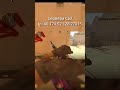 Он был так близок к успеху… #cs2 #скиныcs2 #сервера #cs2moments