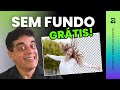 Como REMOVER FUNDO de Imagem GRÁTIS (A Melhor Alternativa ao Canva Pro!)