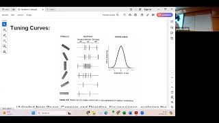 Recitation 2 150524- Tuning curves, Stochastic processes and Poisson neuron