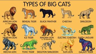 EVERY TYPE OF BIG CATS EXPLAINED | REAL vs FANTASY BIG CATS | 8K QUALITY 