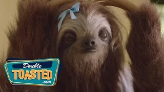 THE STONER SLOTH PSA - Double Toasted Highlight