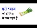 हरी प्याज 🧅 को इंग्लिश में क्या कहते हैं | #word meaning #vocabulary @letpractix 